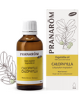 Calophylle | P-HV06