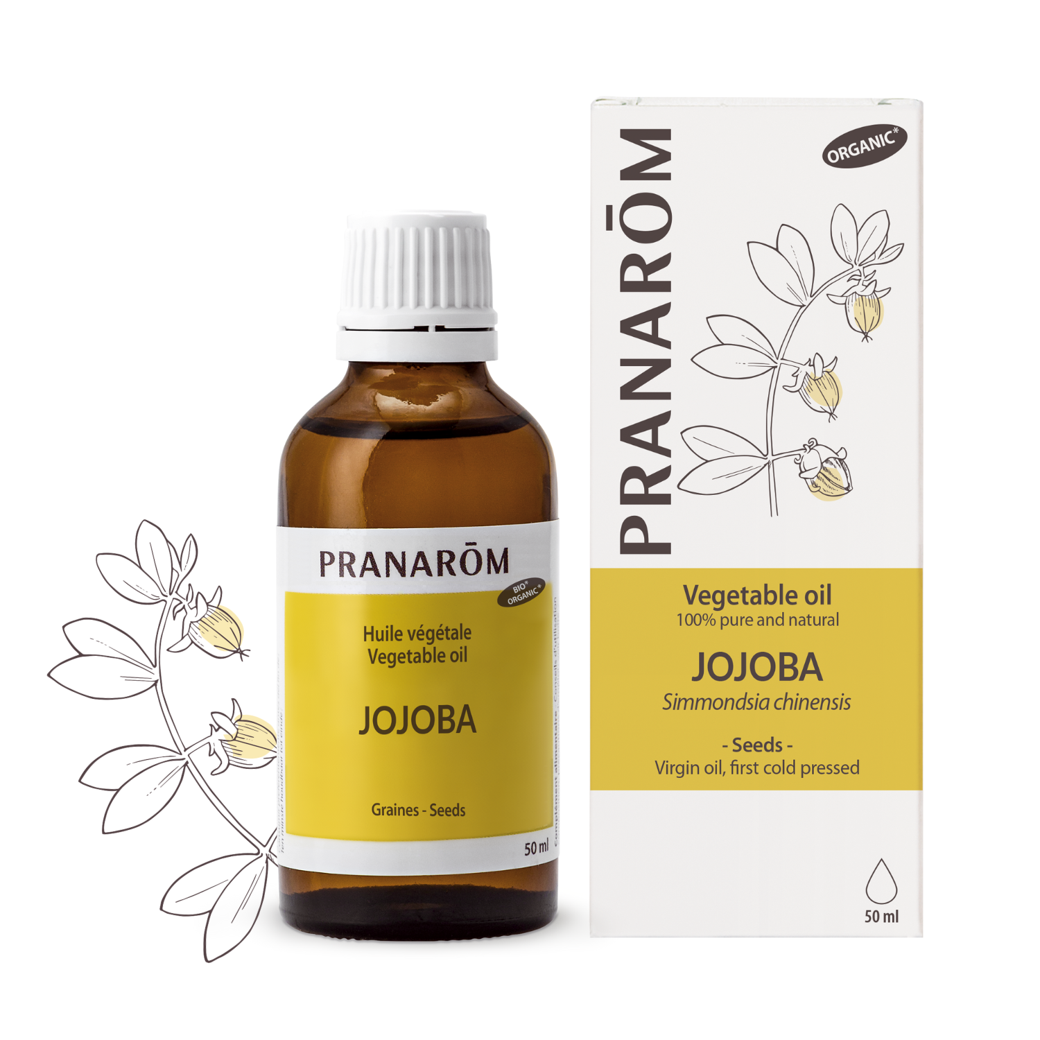 Jojoba | P-HV17