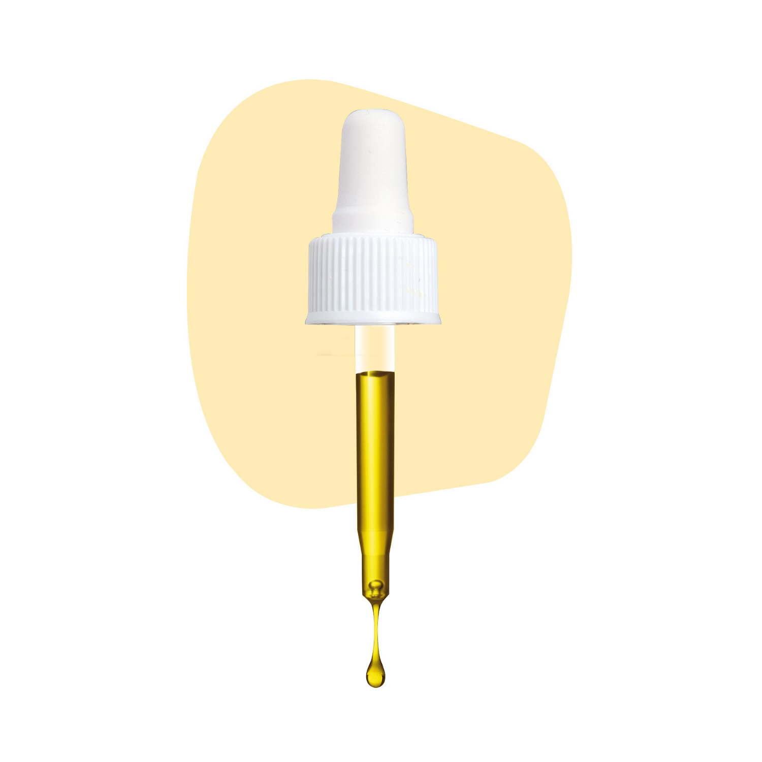 Camélia – huile précieuse