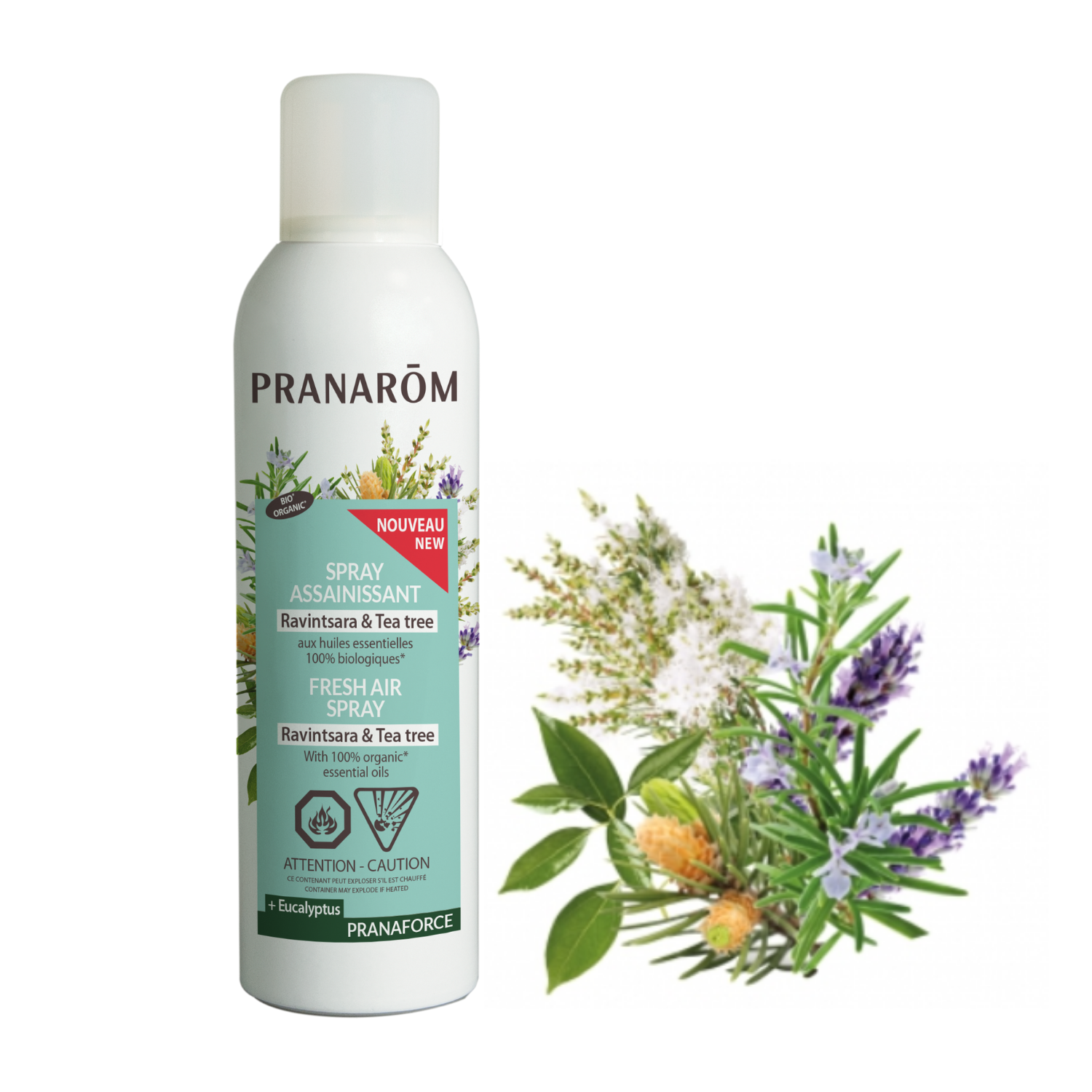 SPRAY ASSAINISSANT RAVINTSARA & TEA TREE + Eucalyptus