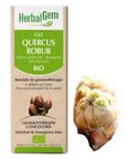 Quercus robur (Oak) G63