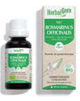 Rosmarinus officinalis (Romarin) G67