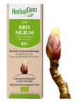Ribes nigrum (Cassis) G34