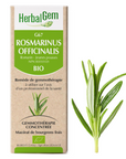 Rosmarinus officinalis (Romarin) G67