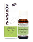 Scots Pine | P-E48