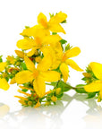 St. John's Wort