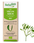 Viscum album (Mistletoe) G61