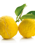 Yuzu | P-E85