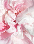 Eclat de Rose Moisturising Fluid | N-ER05