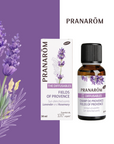 Fields of Provence | P-DF06