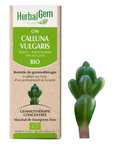 Calluna vulgaris (Heather) G90