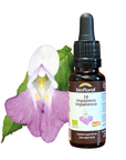 No. 18 Impatiens | F-F18