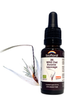 No. 36 Wild Oat
