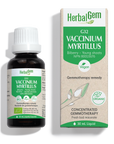 Vaccinium myrtillus (Myrtillier) G32