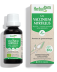 Vaccinium myrtillus (Myrtillier) G32