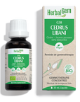 Cedrus libani (Cèdre du Liban) G38