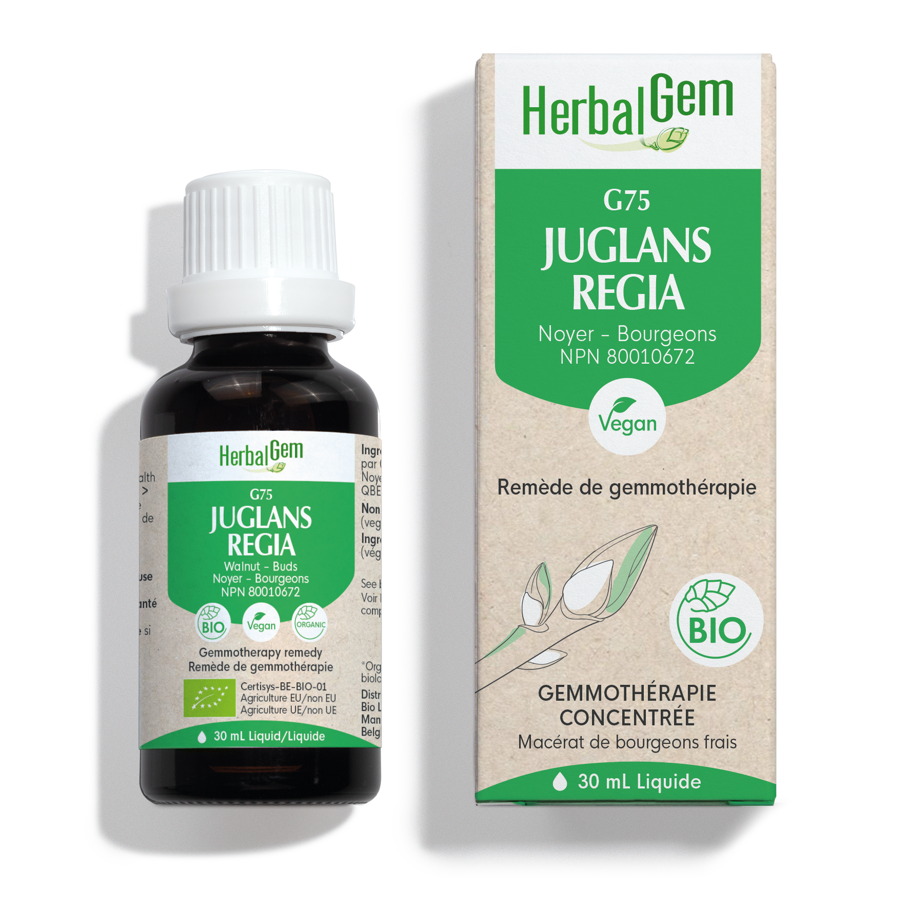 HerbalGem Juglans Regia G75 | Gemmotherapy Fresh Bud Macerate