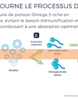 MAG-O3™ Concentré de MAG-EPA