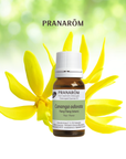 Ylang-Ylang (totum)