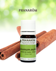 Cinnamon | P-E10