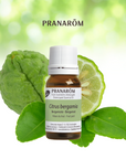 Bergamot | P-E13