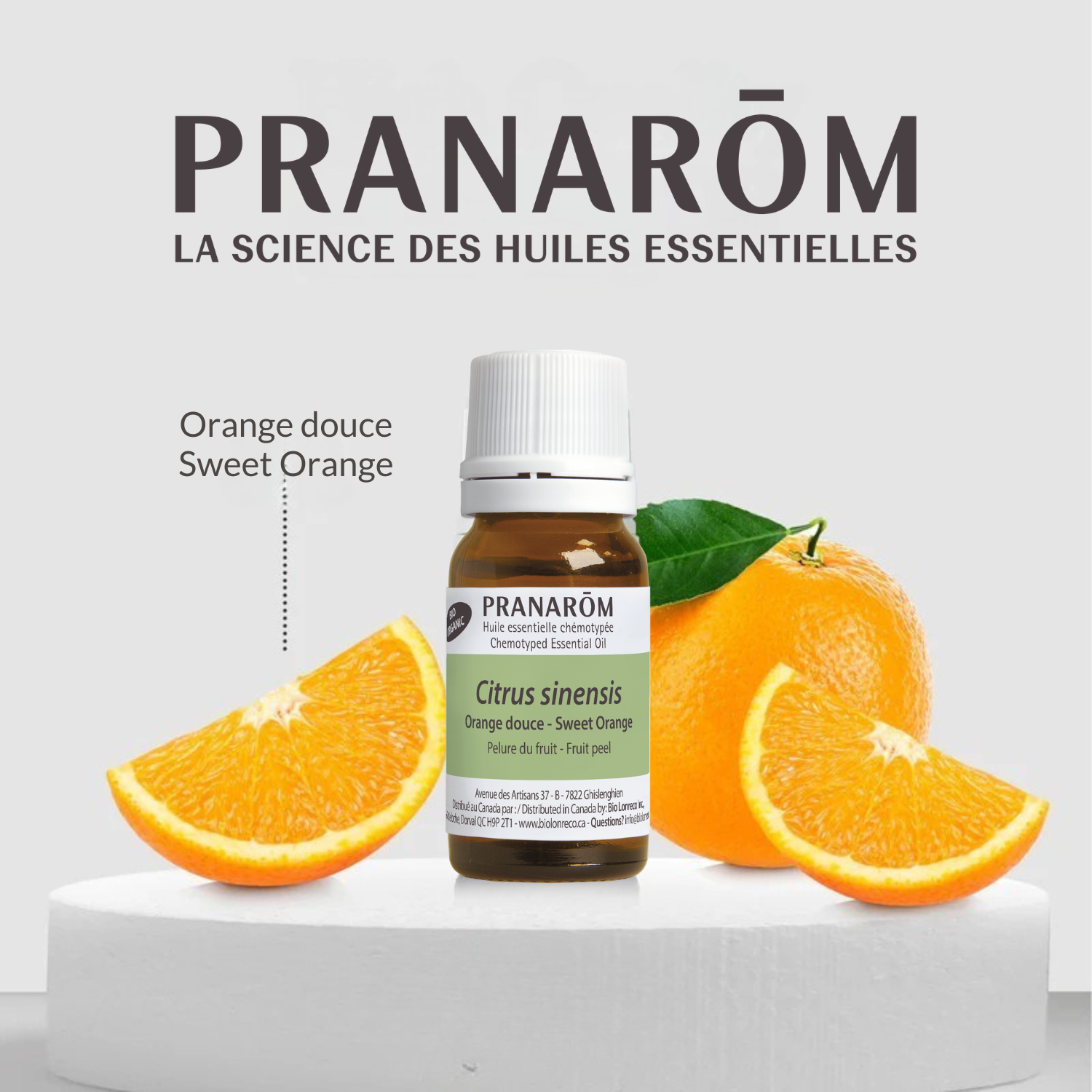 Orange douce