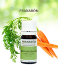 Carrot | P-E22