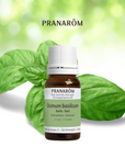 Basil | P-E43