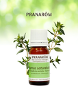 Savory Thyme | P-E58