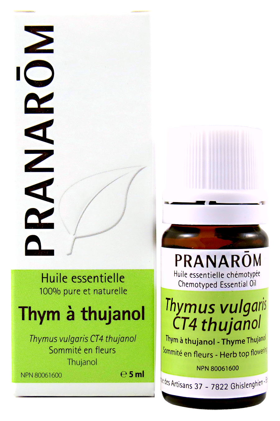 Thym à thujanol | P-E74