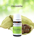 Cardamome