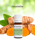 Curcuma