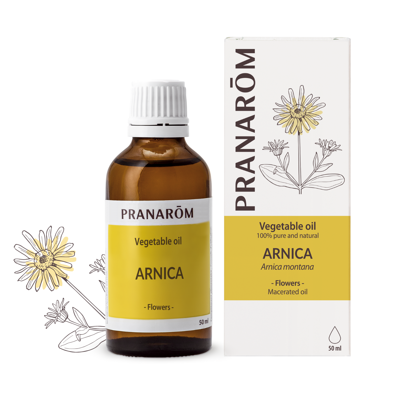 Arnica | P-HV02