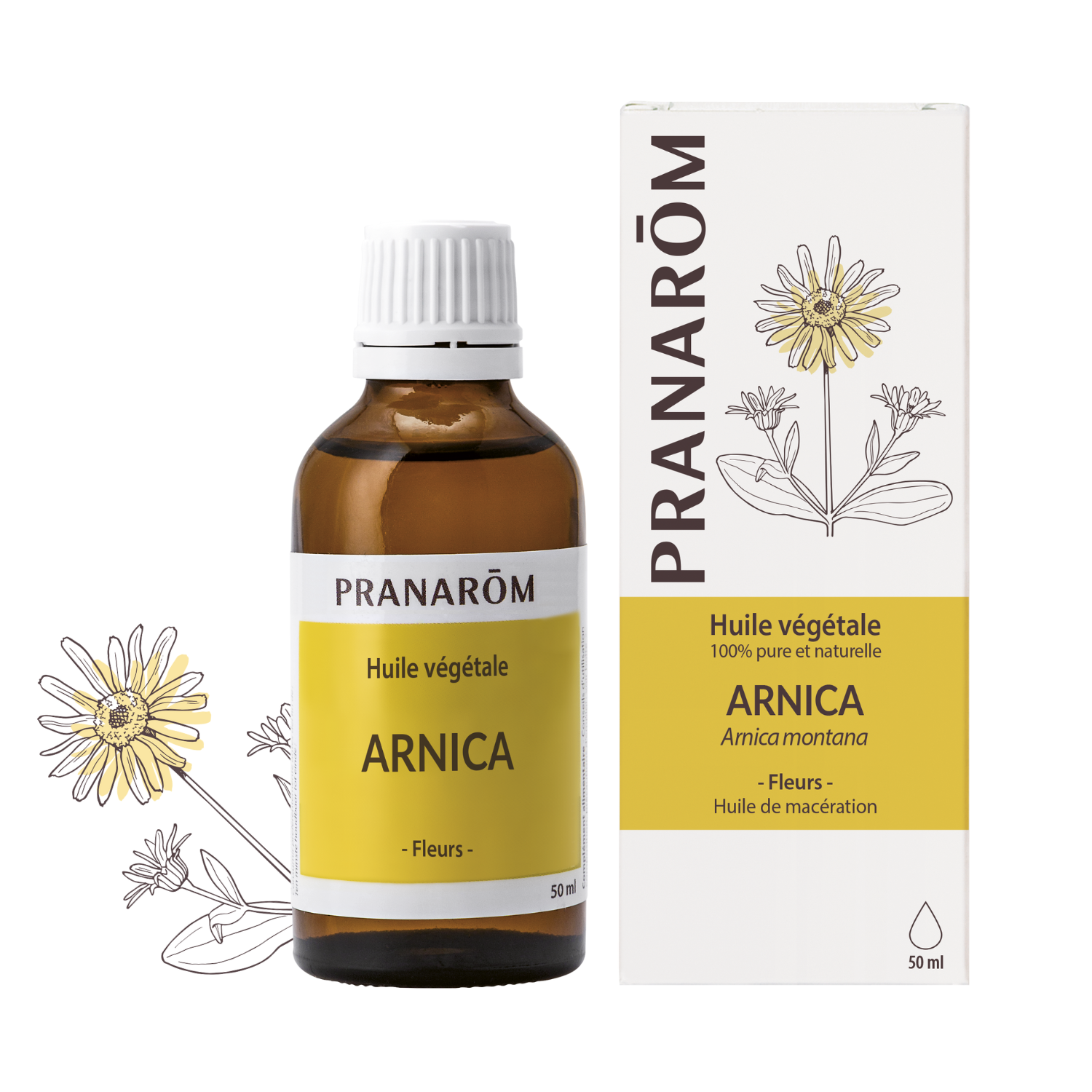 Arnica | P-HV02