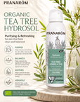 Tea Tree (Arbre à thé) hydrolat bio d’eau précieuse