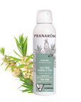 Tea Tree (Arbre à thé) hydrolat bio d’eau précieuse