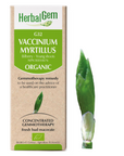 Vaccinium myrtillus (Bilberry) G32