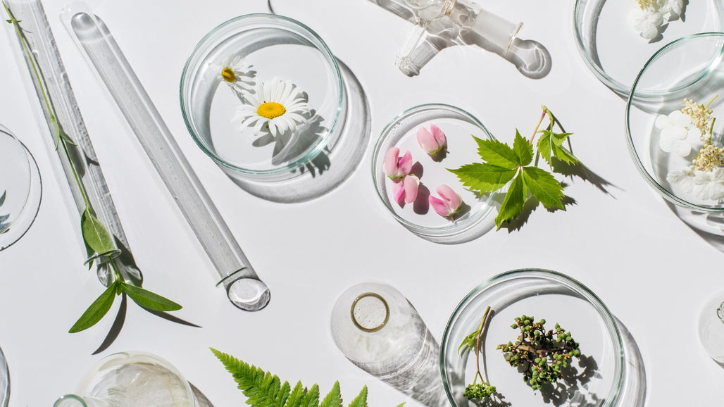 About Bio Lonreco - Quality Natural Health Since 1987
